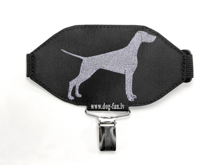 weimaraner copy